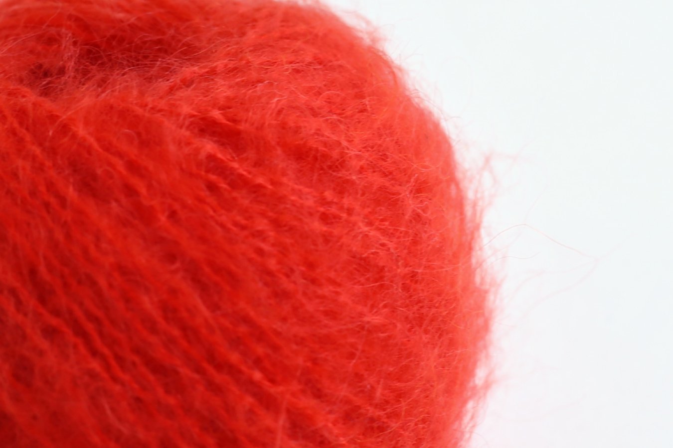Truth & Belief (Epistemology) Yarn Set