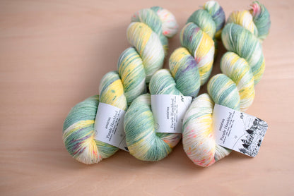 amirisu 10th Anniversary Hand-Dyed Yarns